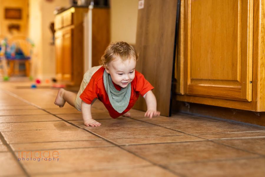 Photo of Atlas walking on all fours